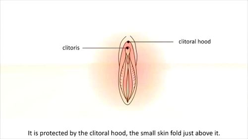 clitoris, henati, masturbation, handjob