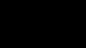 Ab 0:04:29 ansehen