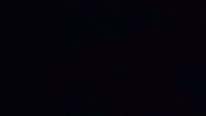 Ab 0:00:12 ansehen