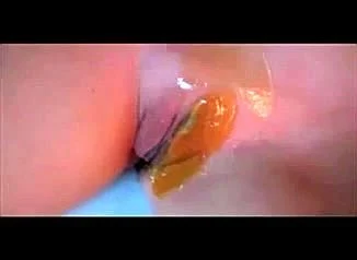 Brazilian Wax Training. - Training, Brazilian Waxing Female, Amateur Porn - SpankBang