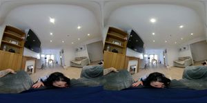 Flaps thumbnail