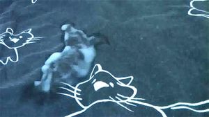 0:02:49から視聴