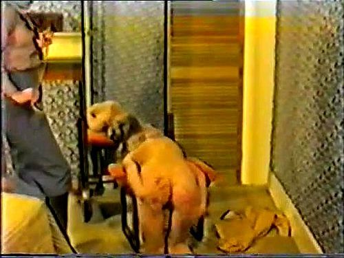 Punishment on Reflection 1982: Latina, Fetish & Vintage Porn - SpankBang