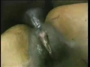 dark anal thumbnail