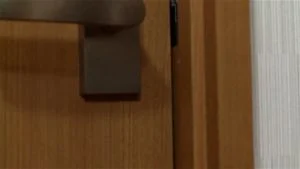瀬戸すみれ thumbnail
