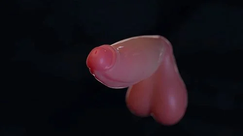 3D Redmoa thumbnail
