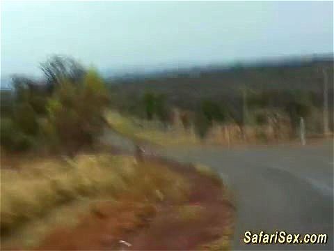 afrikan safari: Doggy, Missonary & Stripchat Porn - SpankBang