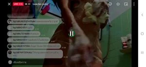 Watch from 0:11:04