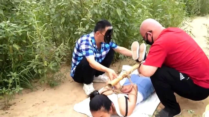 hogtied transport hogtied transport