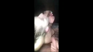 0:03:15から視聴
