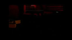 Watch from 0:17:29