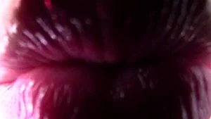 キス系 thumbnail