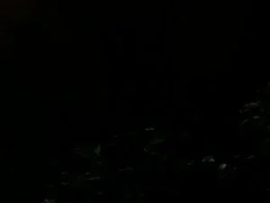 Watch from 0:38:34