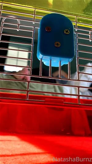 Watch from 0:00:22