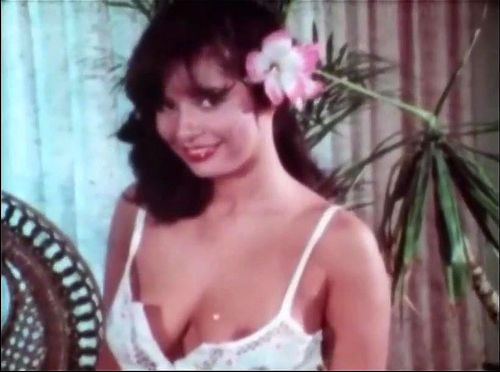 Girl Films - Watch Pretty Girls Film 120: Michelle - 1981, Blowjob, Cumshot Porn -  SpankBang