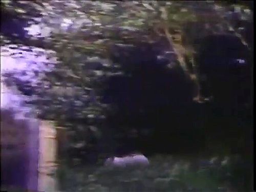 Seduzida por um cavalo Porn - SpankBang
