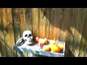 Watch from 0:06:59