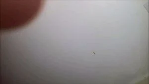 Watch from 0:01:37