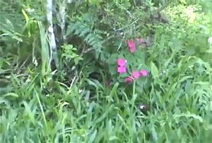 Watch from 0:05:05