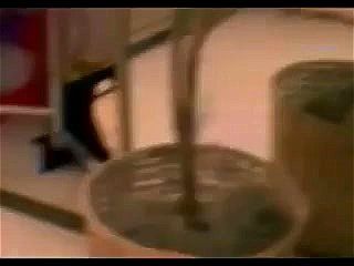 oops! Porn - SpankBang