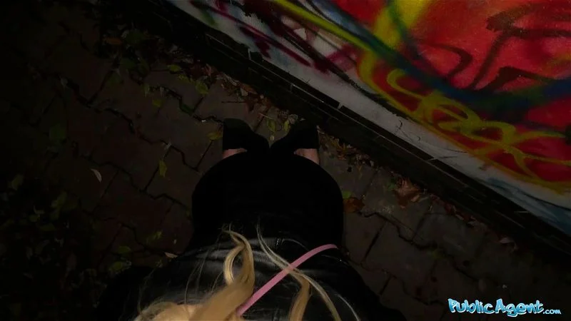 Public Agent Stunning German blonde babe paid to fuck Public Agent Stunning German blonde babe paid to fuck