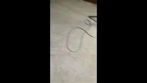 Watch from 0:24:17