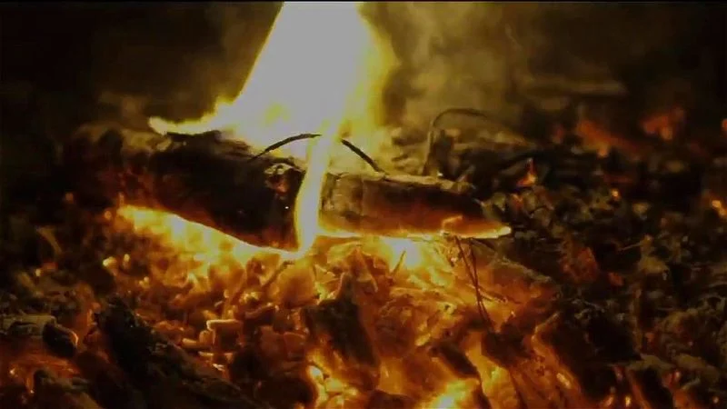 Pagan Forests PMV Pagan Forests PMV