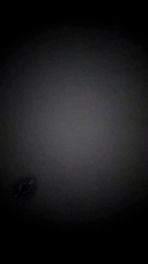 Watch from 0:05:07