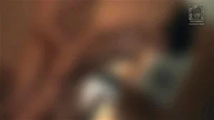 PMV Thumbnail