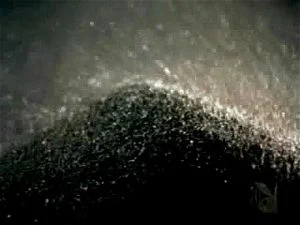 PBPH Thumbnail