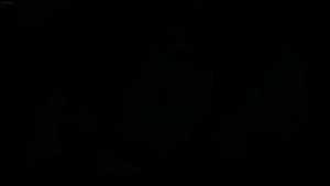 Watch from 0:04:19