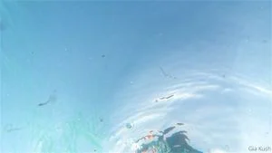 Watch from 0:01:29