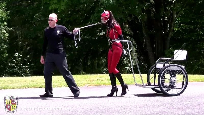 Red Ponygirl Training