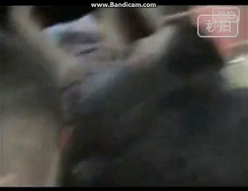 Watch Chinese bridesmaids. - Group, Chinese Bridesmaids ...