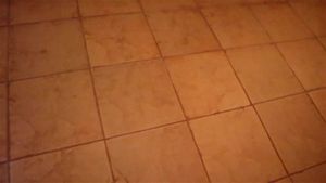 Watch from 0:44:54