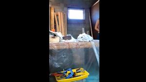 Watch from 0:00:35