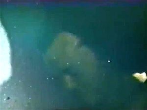 Watch from 0:00:35