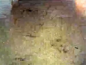 Watch from 0:02:17