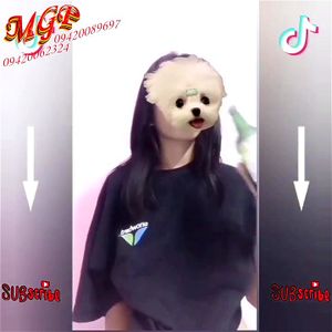 Watch from 0:01:23