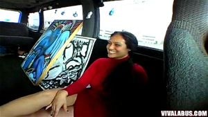 Bangbus thumbnail