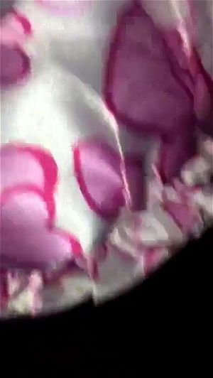 Watch from 0:00:34