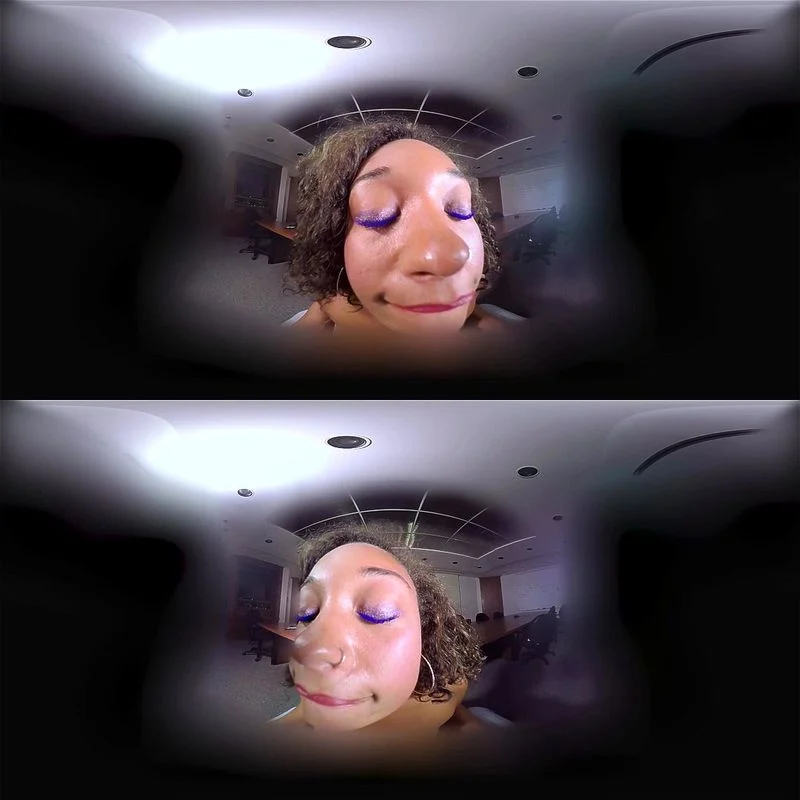Job Interview VR Job Interview VR