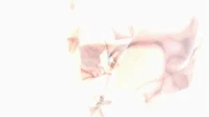 Watch from 0:07:29