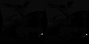 Dee Williams Artist Touch VR