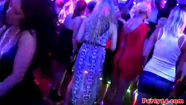 nightclub nightclub