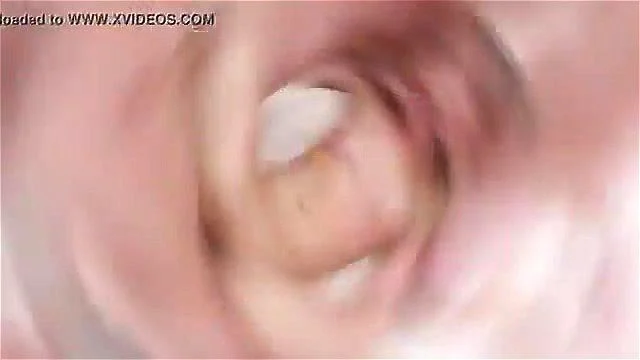 Salvaggia lira gostosa Salvaggia lira gostosa