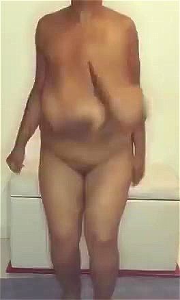 Penduluous tits Penduluous tits