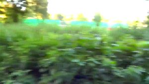 Watch from 0:02:59