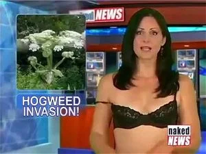 NAKED NEWS-NORML NU-TUG4ME- thumbnail