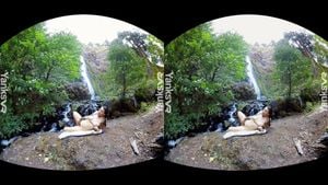 VRvids thumbnail